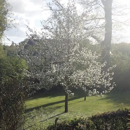 Vendégház Au Charme Du Espace Bien Etre Et Piscine Chauffe Proche Parc Et Restaurant Du Casino 3*