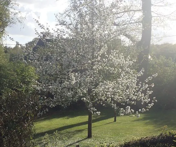 Gasthuis Au Charme Du Espace Bien Etre Et Piscine Chauffe Proche Parc Et Restaurant Du Casino 3*